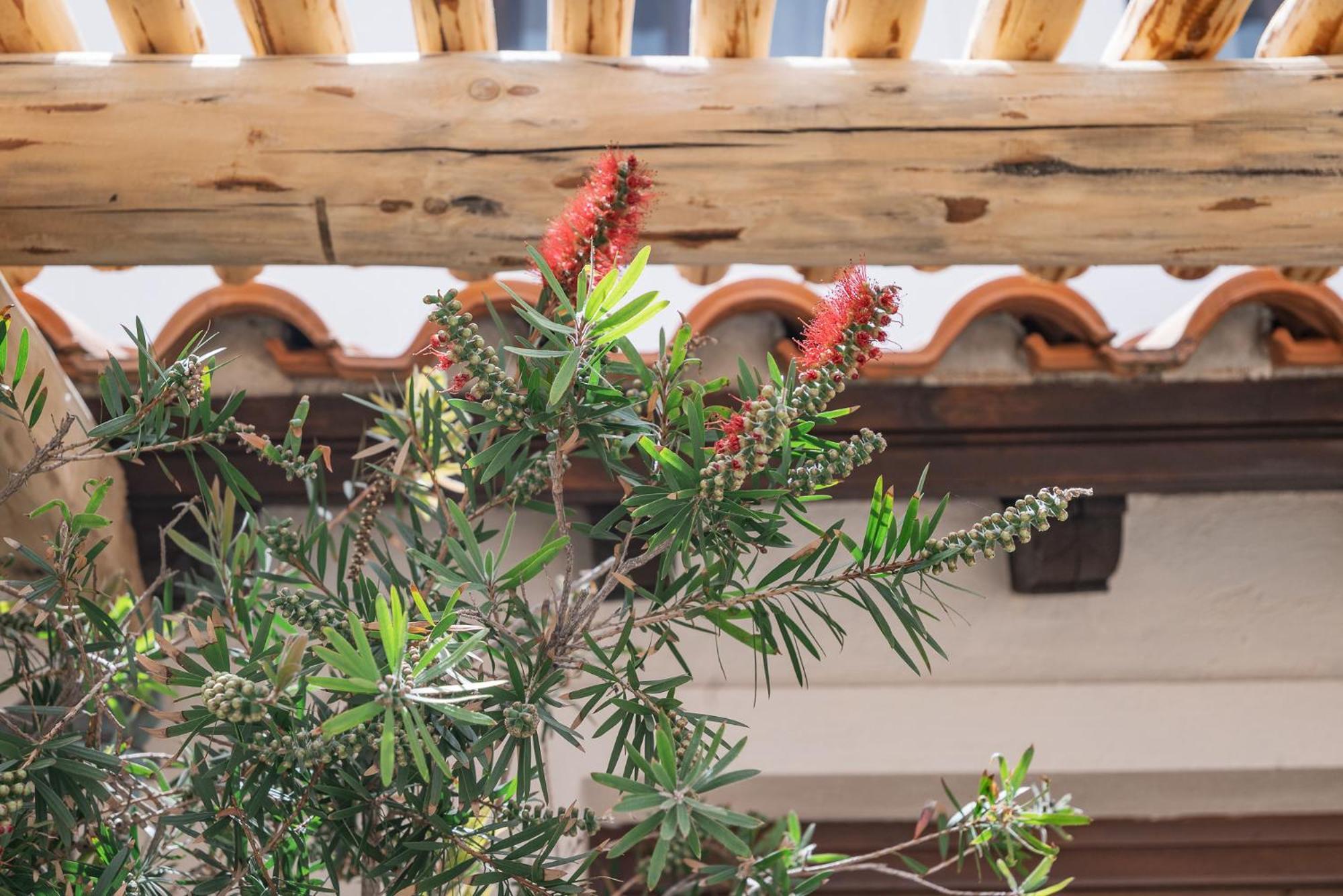 Fasolaki Skopelos - Eco Residencies Ngoại thất bức ảnh